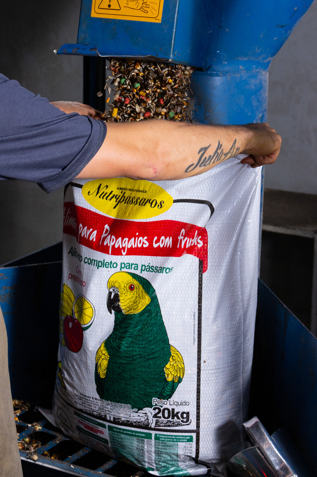 Estrutura da empresa