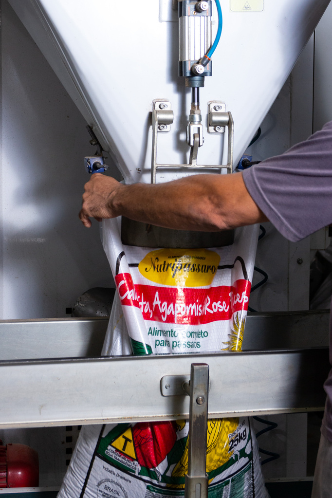 Estrutura da empresa