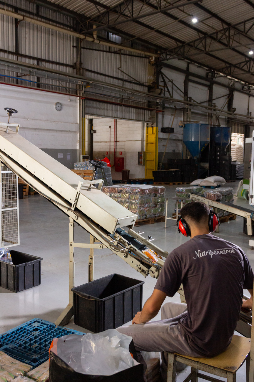 Estrutura da empresa