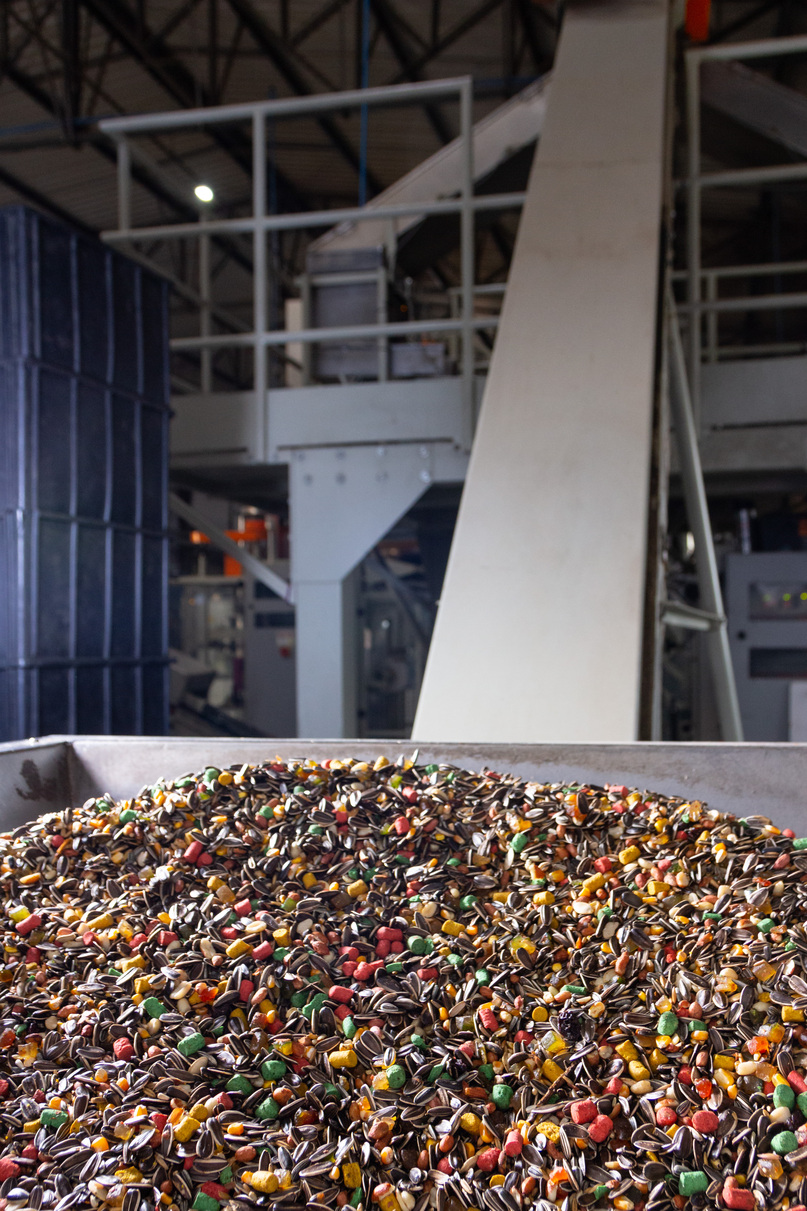 Estrutura da empresa